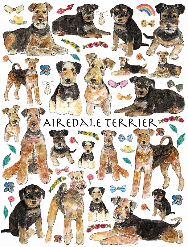 ガラス用エアデールテリア  はがきサイズ