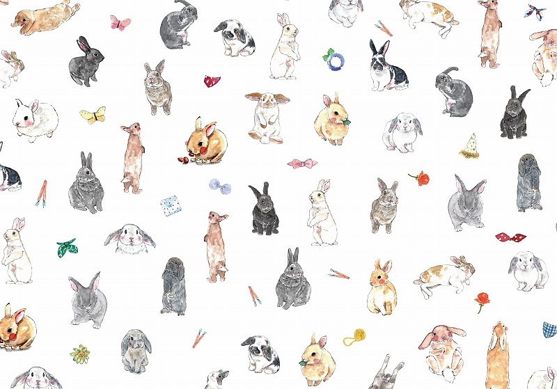 CUT ガラス用バニーコレクションS A4