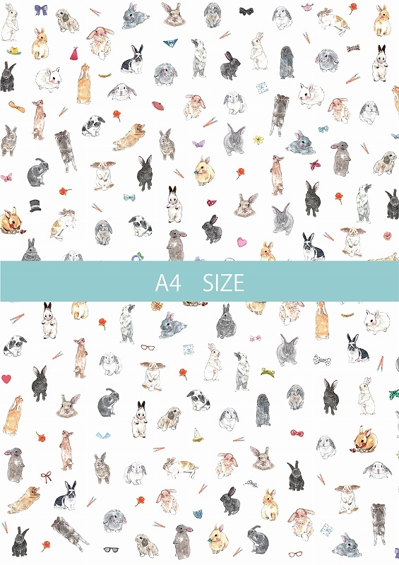 CUT ガラス用バニーコレクションS A4