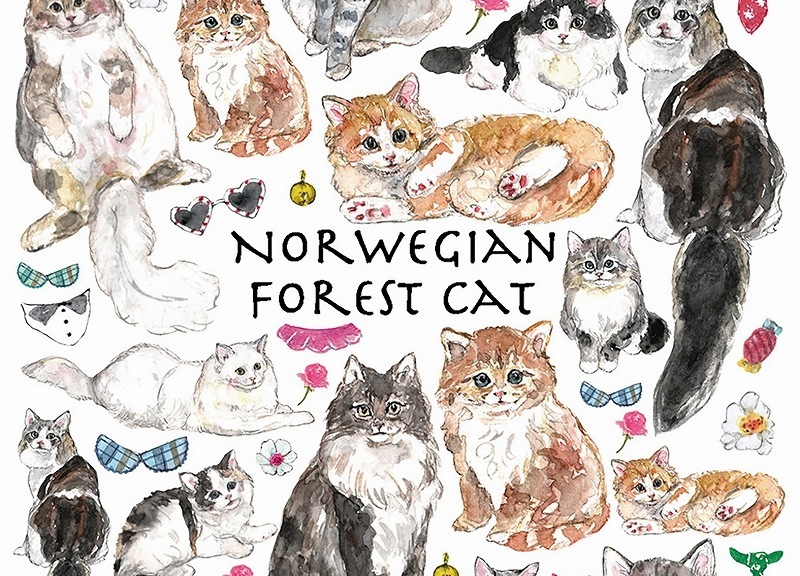 ノルウェージャンフォレストキャット はがきサイズ