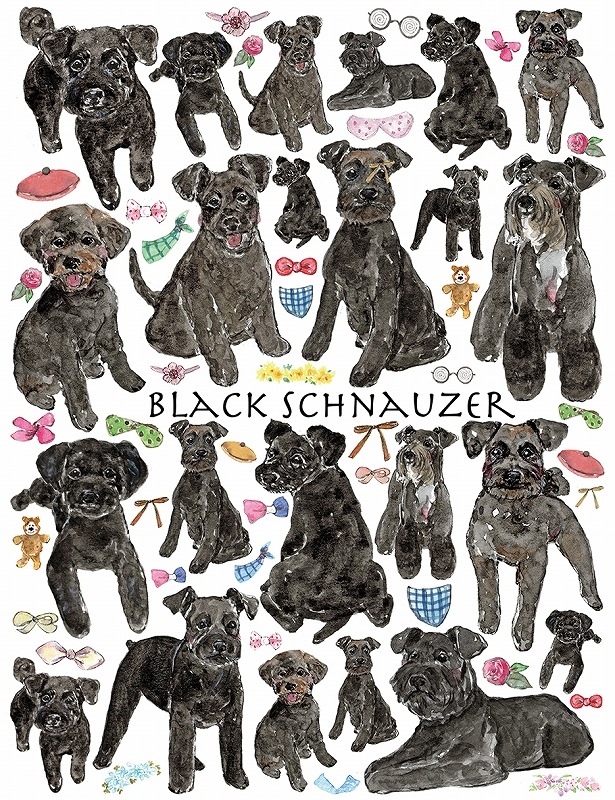 ブラックシュナウザーはがきサイズ