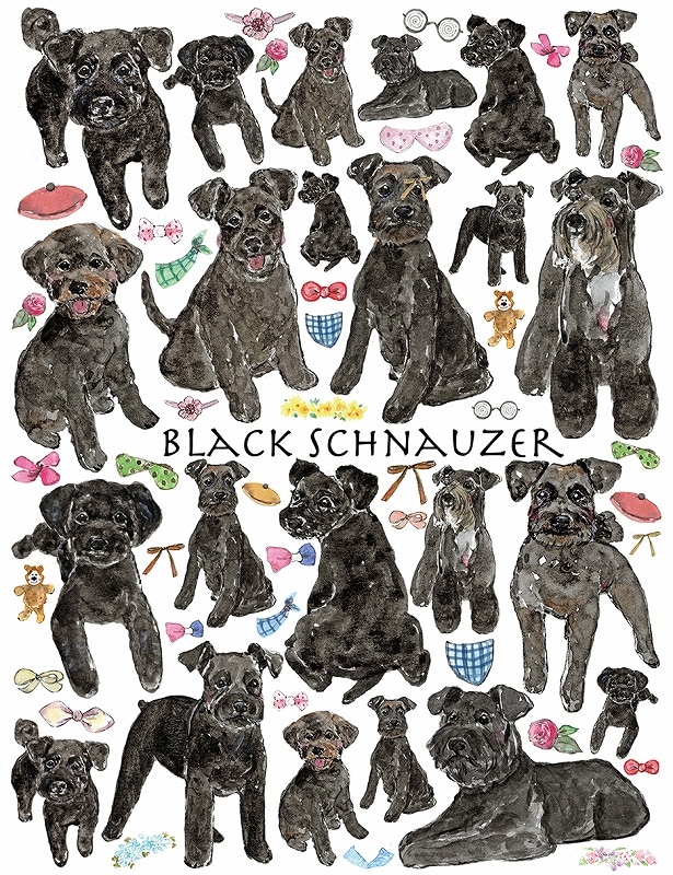 ガラス用ブラックシュナウザーはがきサイズ