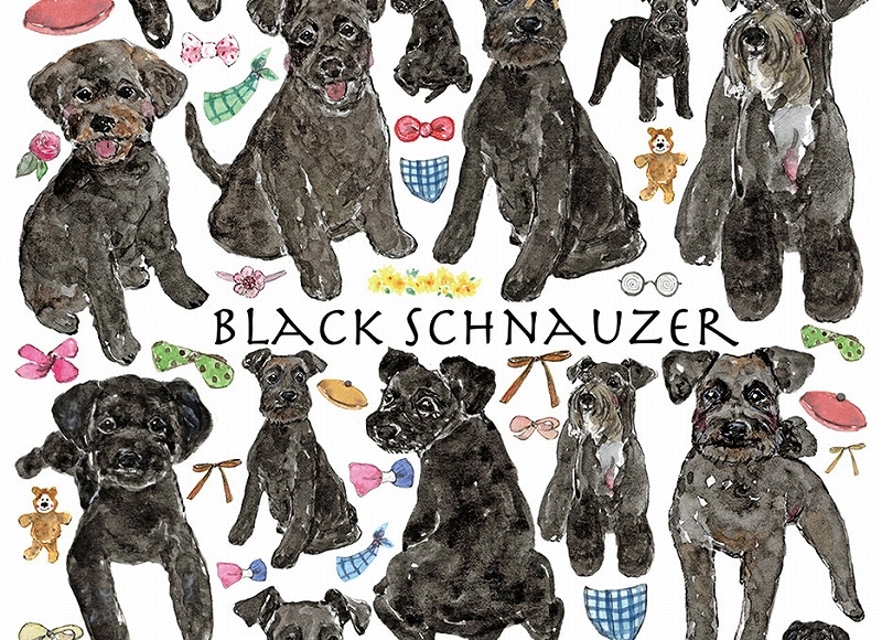 ガラス用ブラックシュナウザーはがきサイズ