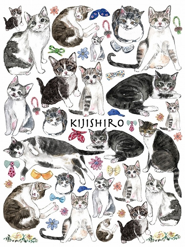 キジシロ はがきサイズ