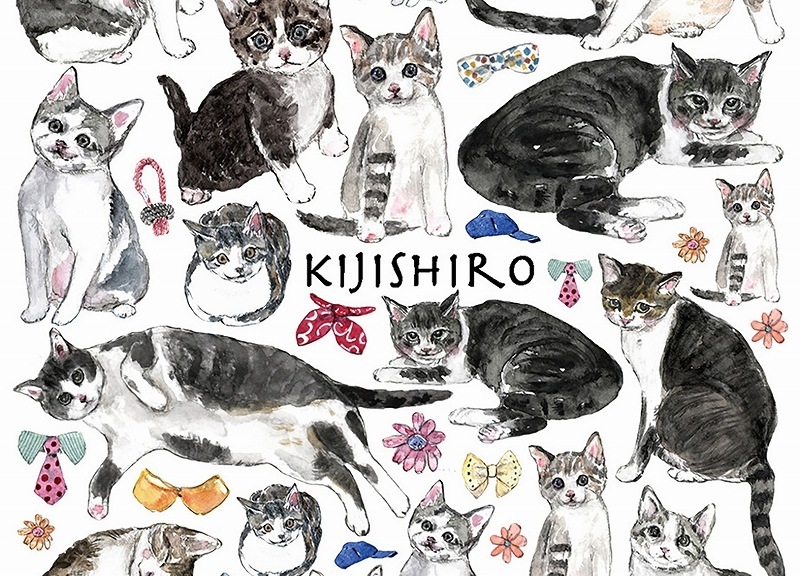 キジシロ はがきサイズ