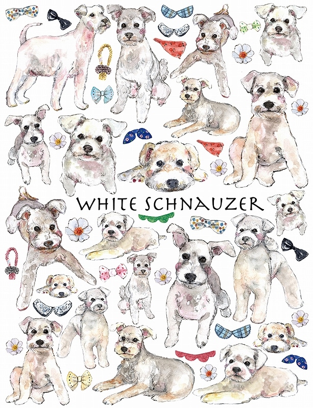 ガラス用ホワイトシュナウザーはがきサイズ