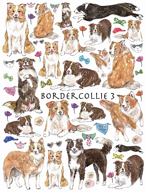 ボーダーコリー3はがきサイズ