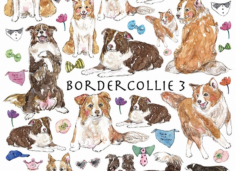 ボーダーコリー3はがきサイズ