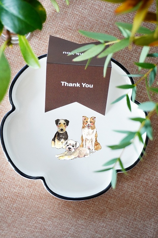 ボーダーコリー3はがきサイズ