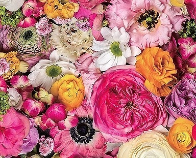 CUT マグノリア A4