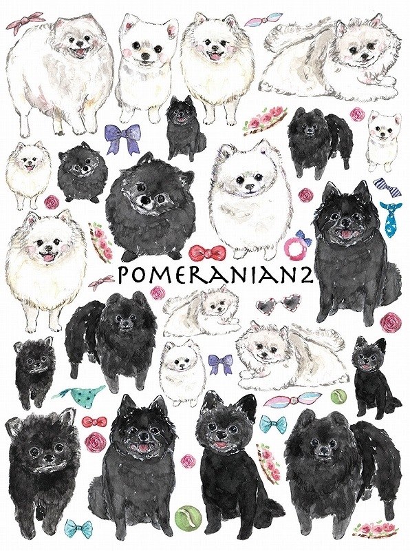 白黒ポメラニアン はがきサイズ