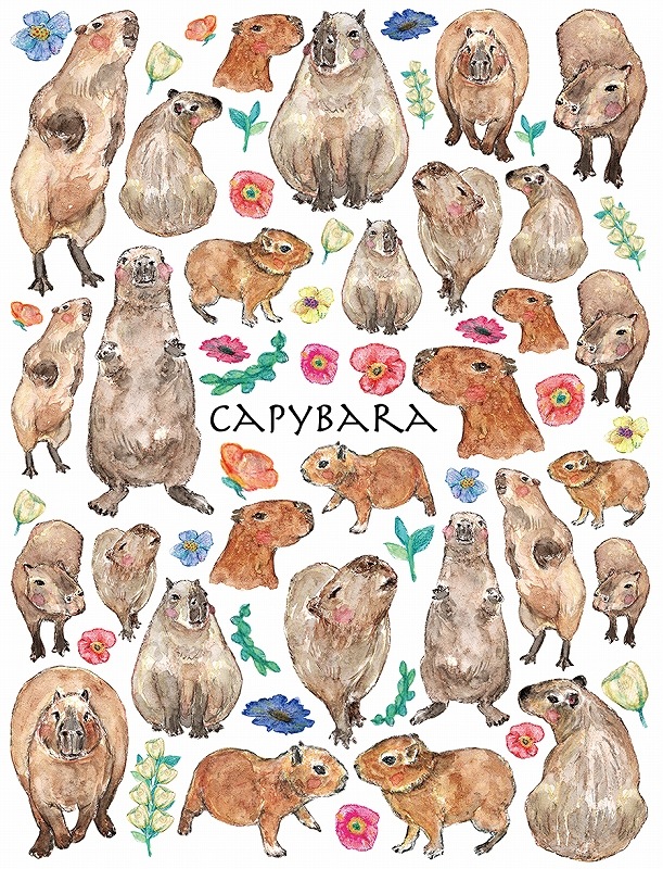 カピバラ はがきサイズ