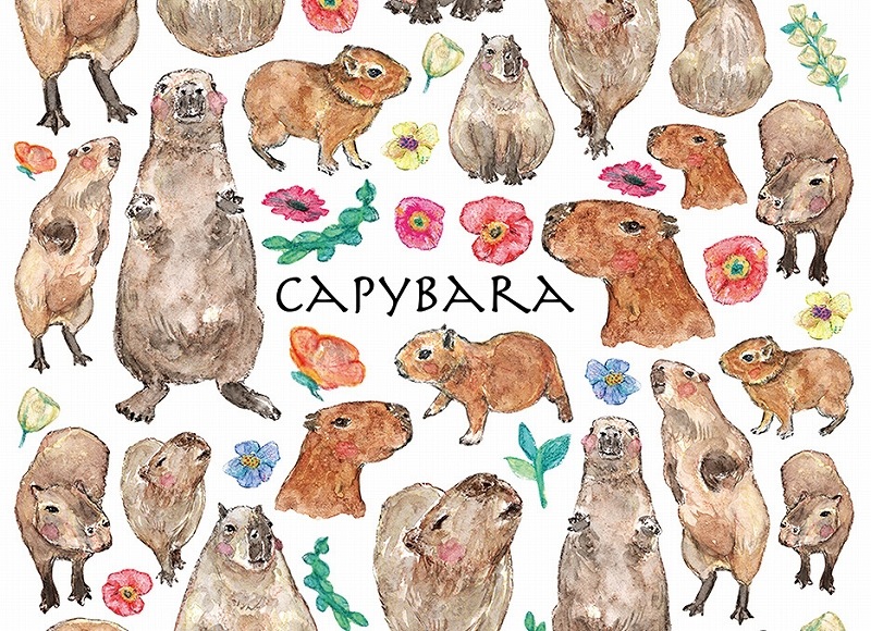 カピバラ はがきサイズ
