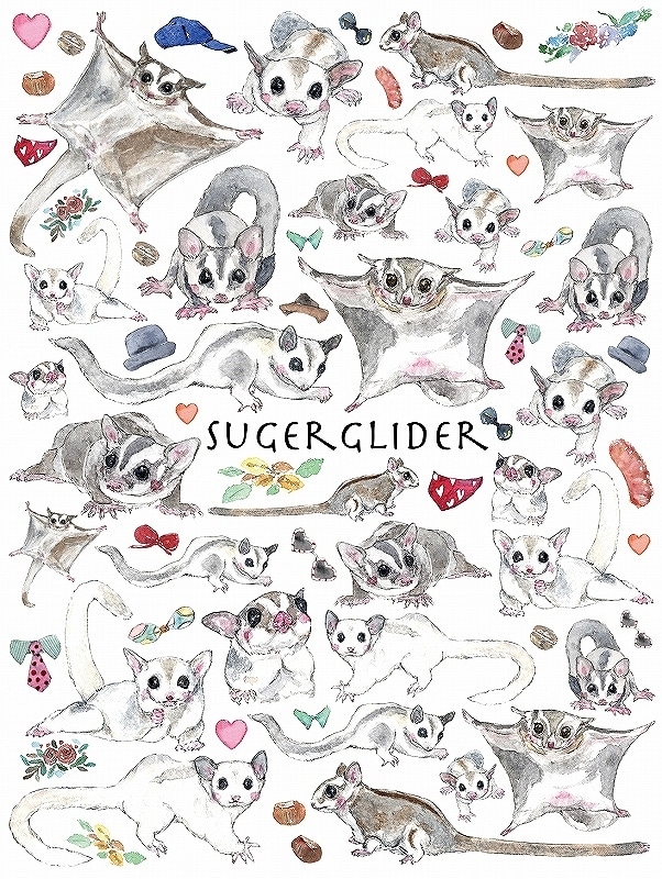 ガラス用モモンガ はがきサイズ