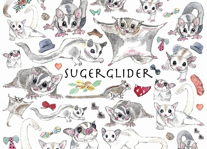 ガラス用モモンガ はがきサイズ