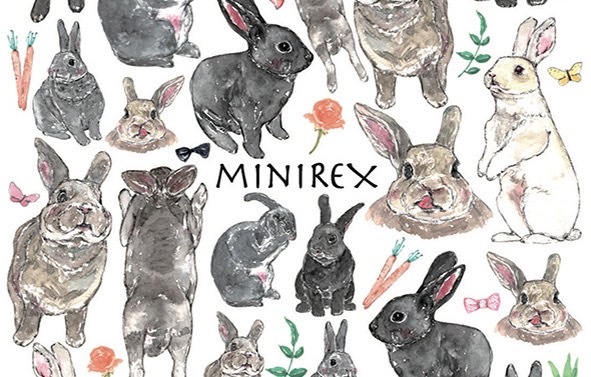 ガラス用ミニレッキス はがきサイズ