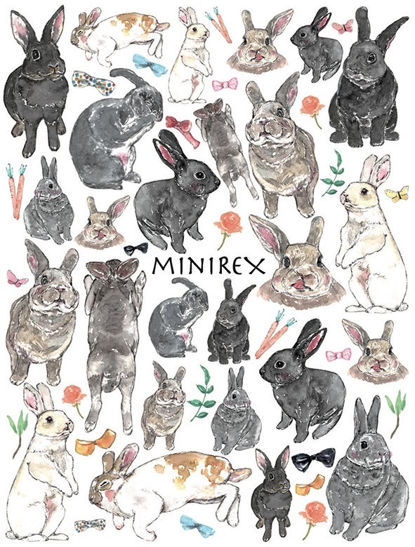 ガラス用ミニレッキス はがきサイズ