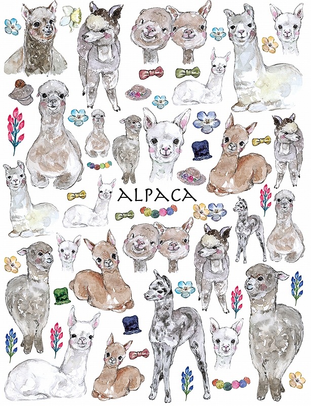 アルパカ はがきサイズ