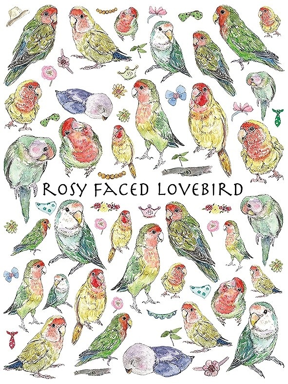 ガラス用コザクラインコ はがきサイズ