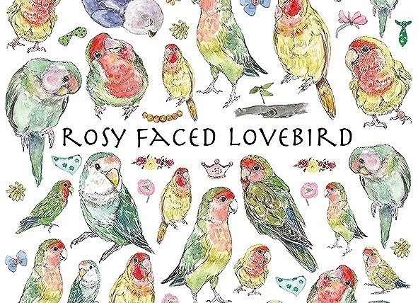 ガラス用コザクラインコ はがきサイズ