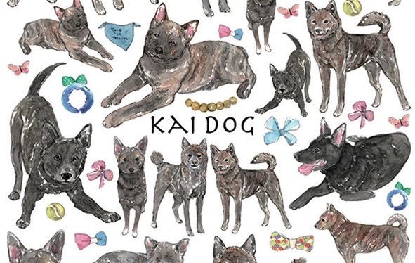 甲斐犬 はがきサイズ