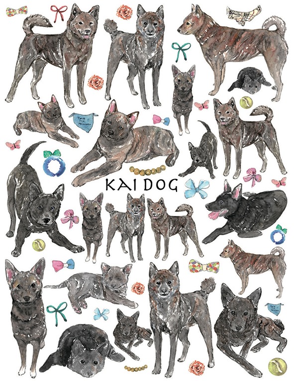 甲斐犬 はがきサイズ