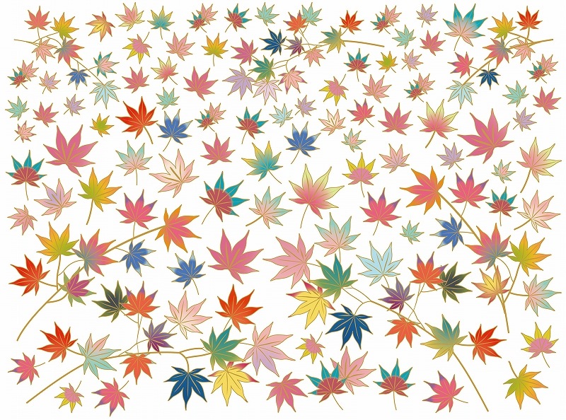 和柄紅葉 A4