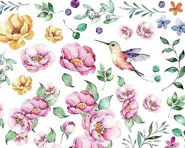 ベリーズガーデン  A4