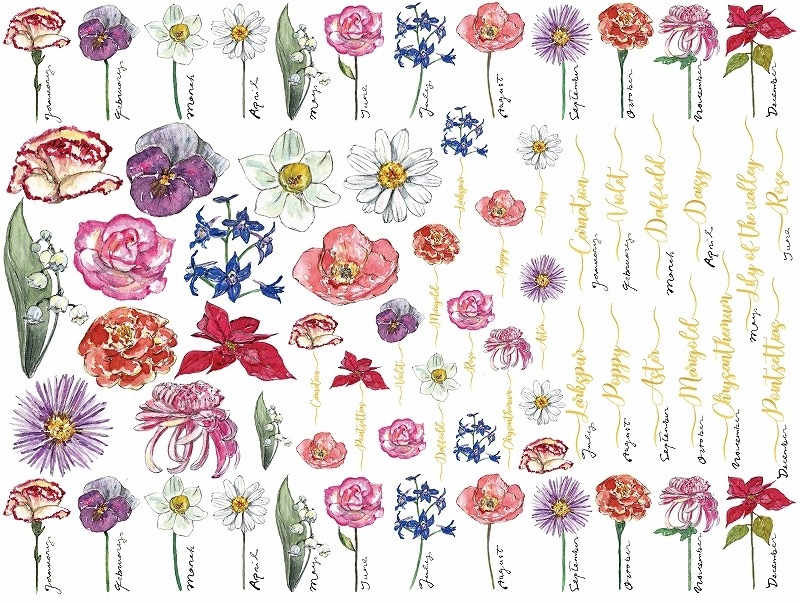 本金バースデーフラワーA4