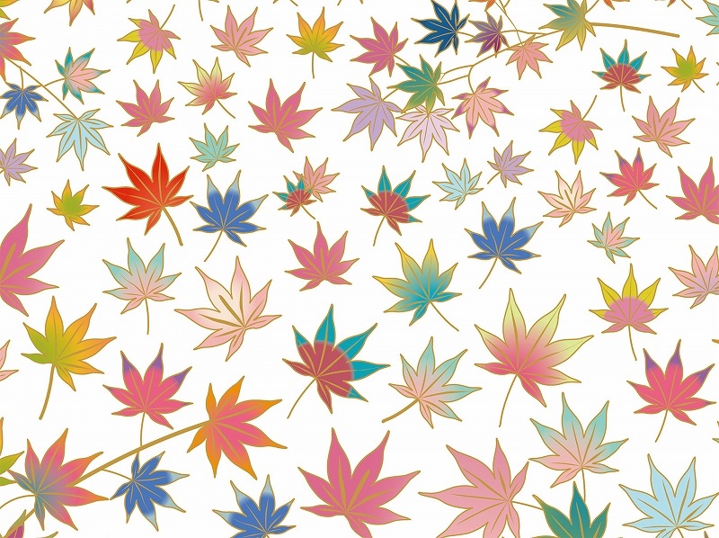 【10枚SET】和柄紅葉 (1枚あたり1300円)A4