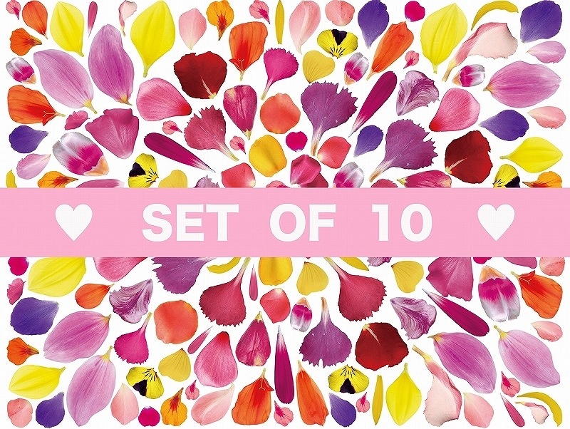 【10枚SET】ガラス用フラワーペタル (1枚あたり1300円)A4