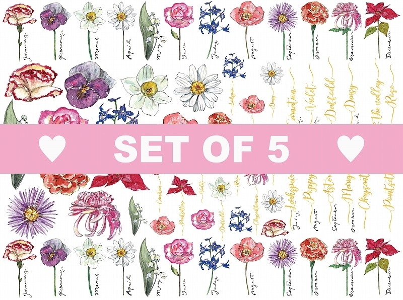【5枚SET】バースデーフラワー(1枚あたり1500円)A4