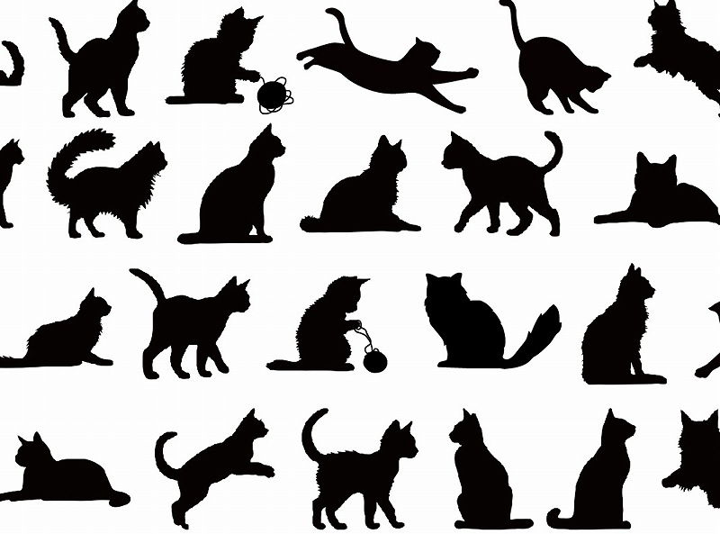 ガラス用シルエットキャット A4