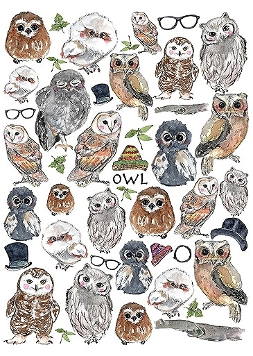 フクロウ はがきサイズ