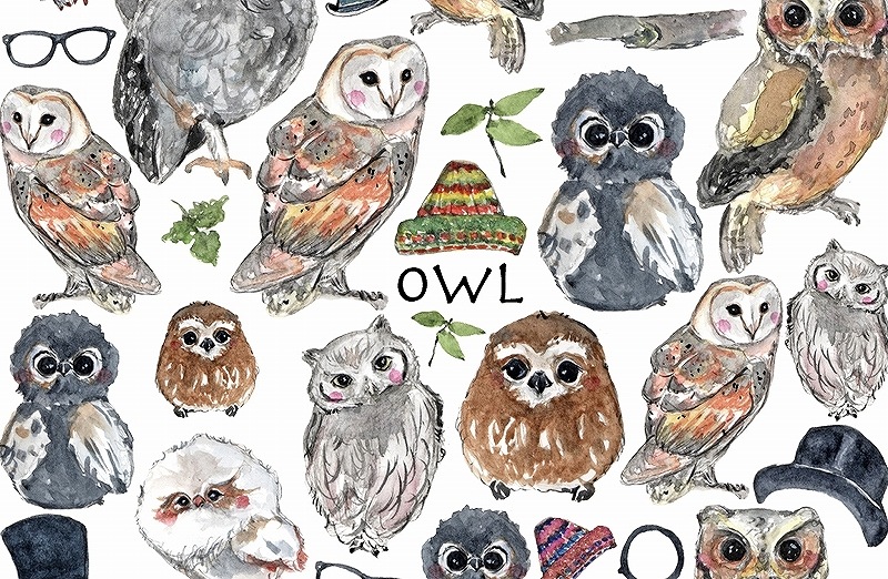 フクロウ はがきサイズ