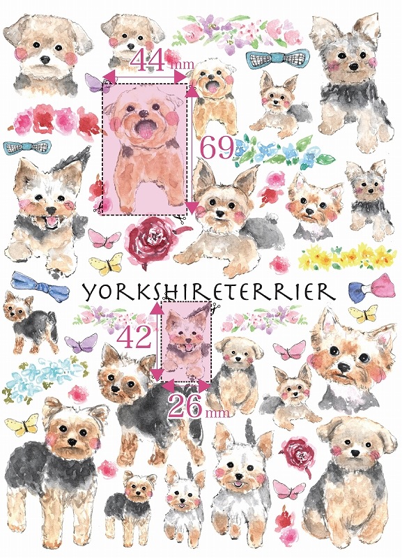 【在庫限り終了】ヨークシャテリア A4サイズ 