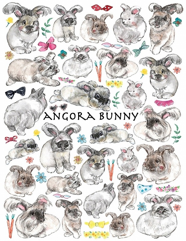 アンゴラ はがきサイズ