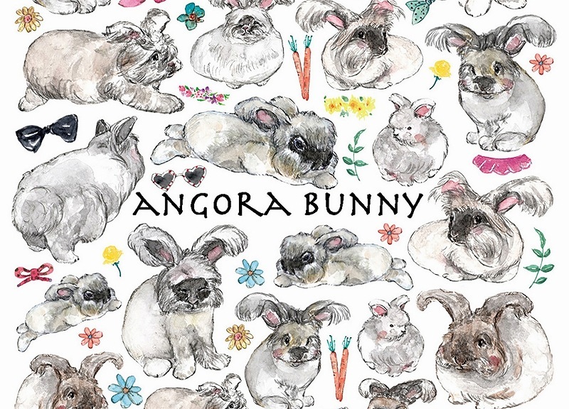 アンゴラ はがきサイズ