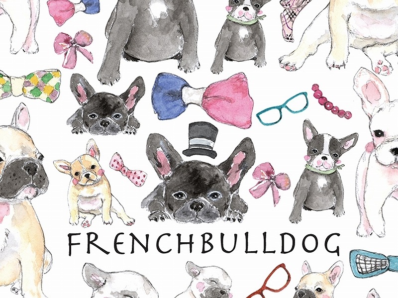 フレンチブルドッグ はがきサイズ