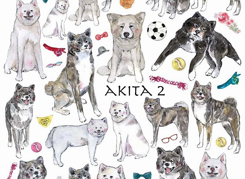 秋田犬2 はがきサイズ