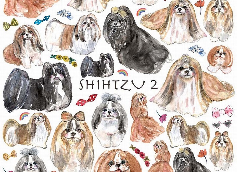 シーズー2 はがきサイズ