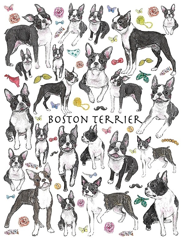 ガラス用ボストンテリア はがきサイズ