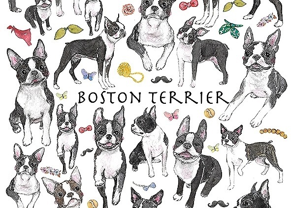 ガラス用ボストンテリア はがきサイズ