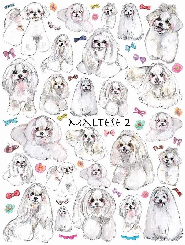 ガラス用マルチーズ2 はがきサイズ