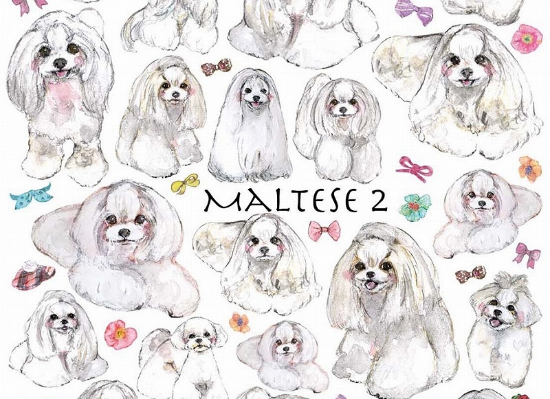 ガラス用マルチーズ2 はがきサイズ