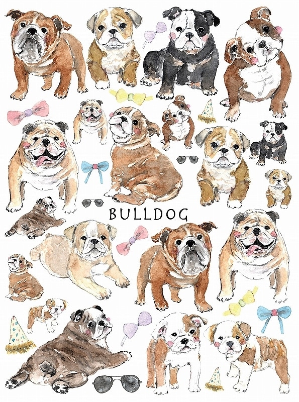 ブルドッグ はがきサイズ