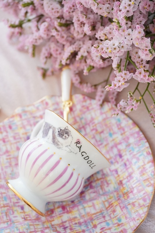 ラグドール はがきサイズ