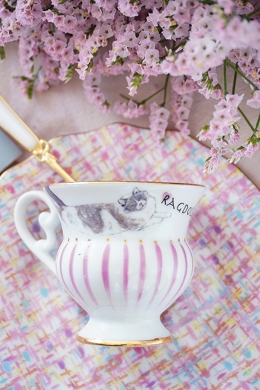 ラグドール はがきサイズ