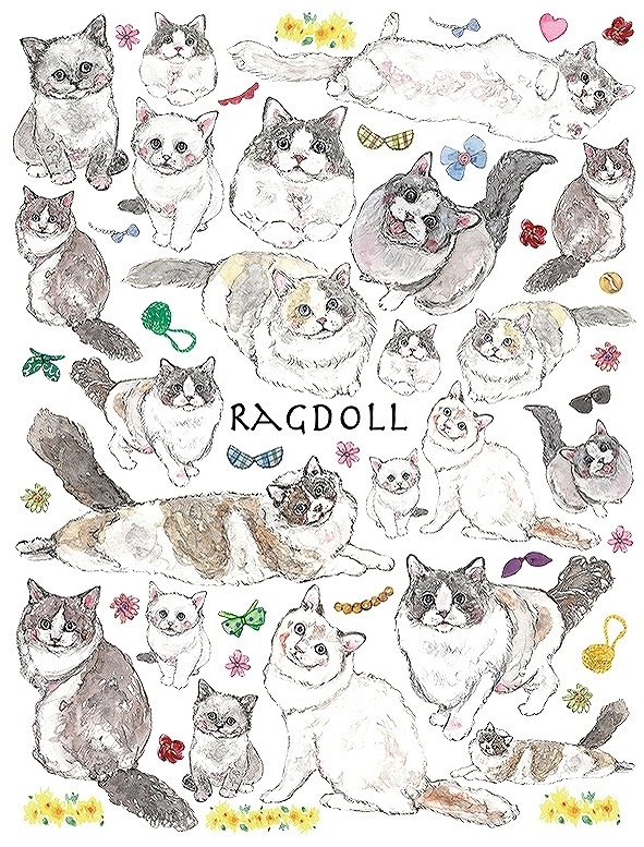 ガラス用ラグドール はがきサイズ