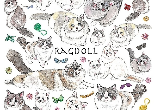 ガラス用ラグドール はがきサイズ